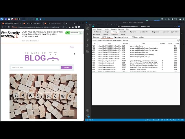 12 Lab #11 DOM XSS in AngularJS expression with angle brackets and double quotes HTML encoded