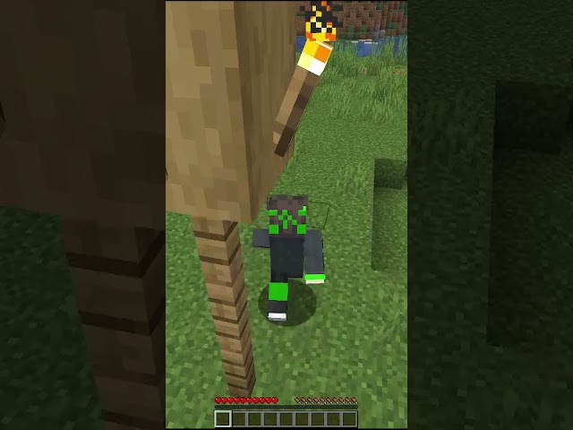 How To Walk In Minecraft