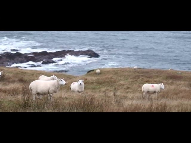 Sutherland - The Forgotten Corner of Britain