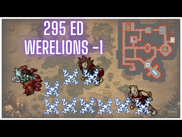 Werelions -1 - 295 ED - 3.1 kk Raw ~600k profit - Forks + AVA