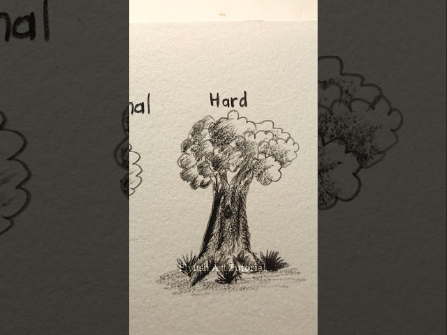 How to draw Tree🪾🌴 ( easy to hard) #drawing #tutorial #howtodraw #sketch #art #shorts #treesketch