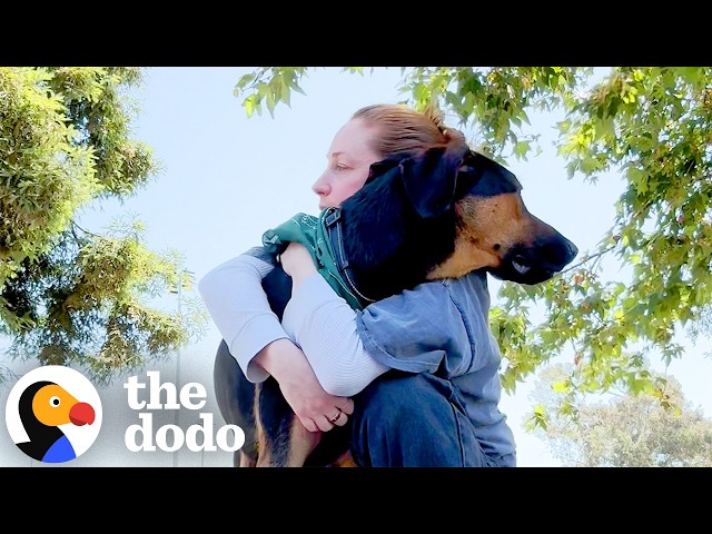 Family Makes Hard Decision To Rehome Their Dog, Then He Finds His Person | The Dodo