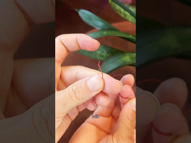 Fast and easy knot tutorial for sewing!