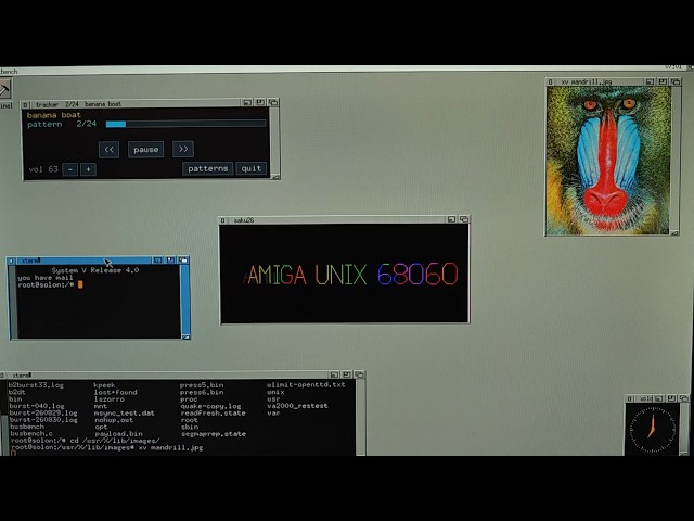 Amiga UNIX on Z3660 running graphical XDM login, TWM, Amiwm, Open Look and Doom.