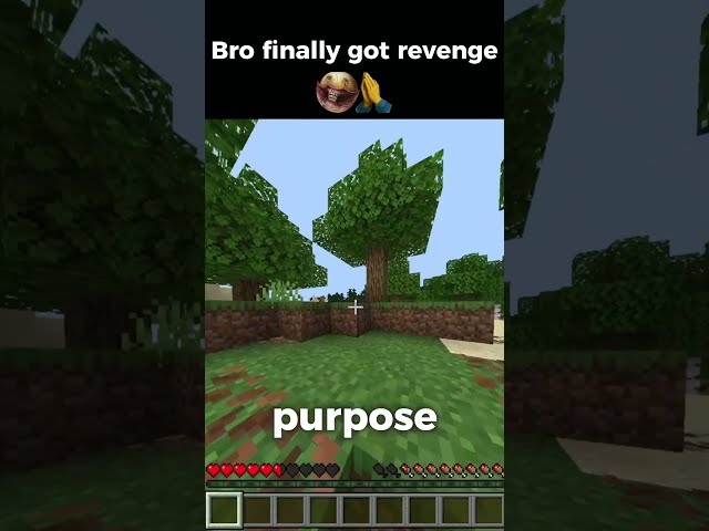 Minecraft but I crack George if I take damage