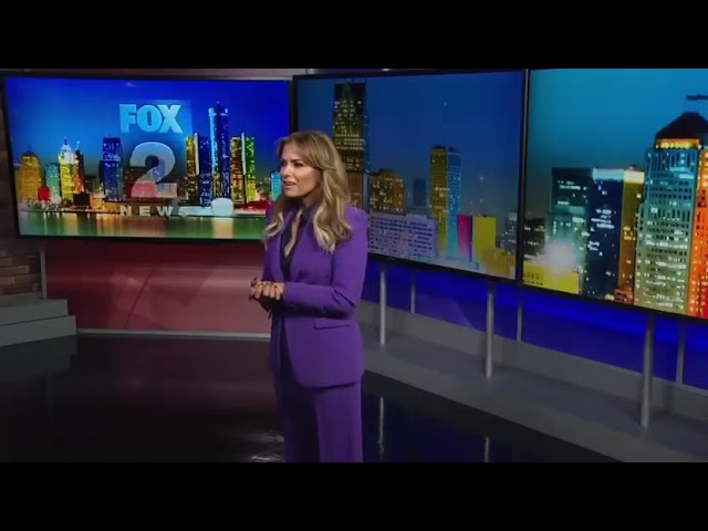 Fox 2 Anchor Taryn Asher Responds to Her Supervisor