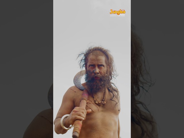Thangalaan War - 8K Video Song | Thangalaan | Chiyaan Vikram | Pa Ranjith | GV Prakash Kumar