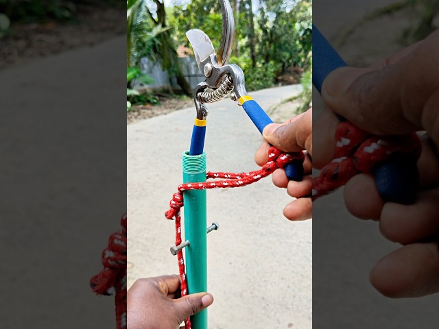 This DIY Tool Makes Tree Pruning Much Easier