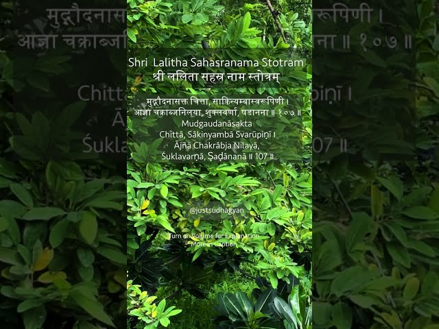 Shri Lalitha Sahasranamam Shloka 107| |  |Just Sudha Gyan