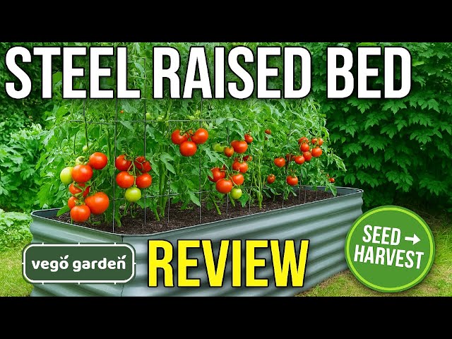 Vego Garden Metal Raised Bed Setup, Planting, and Review