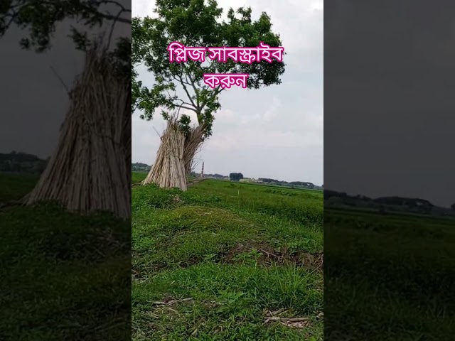 Blogg shorts video and #velage গ্রামের বাড়িতে