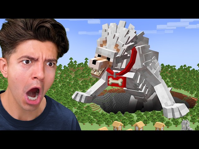 I Evolved My Dog In Minecraft!