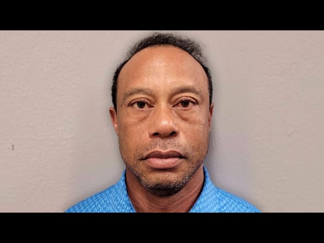 Tiger Woods DUI Arrest: Painkillers in His Pocket and More Crash-Site Details Revealed
