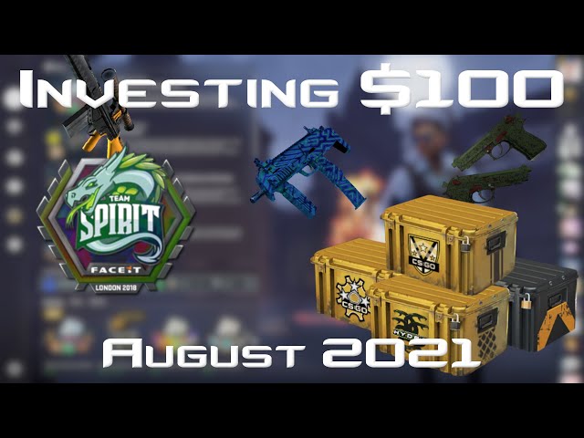 Investing $100 in CS:GO Month 3: August
