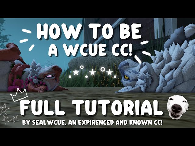 HOW TO BE A WCUE CC! | a tutorial from a semi-famous wcue cc!