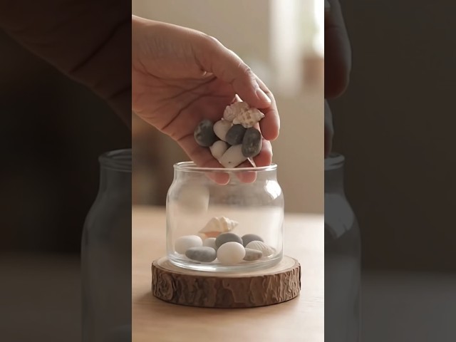 कुछ समुद्री सीप +मनी प्लांट #youtubeshorts #viral #trending #shortsfeed #viralvideo #diy #pebble