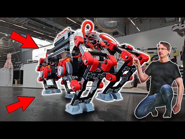 I will ride on this robot