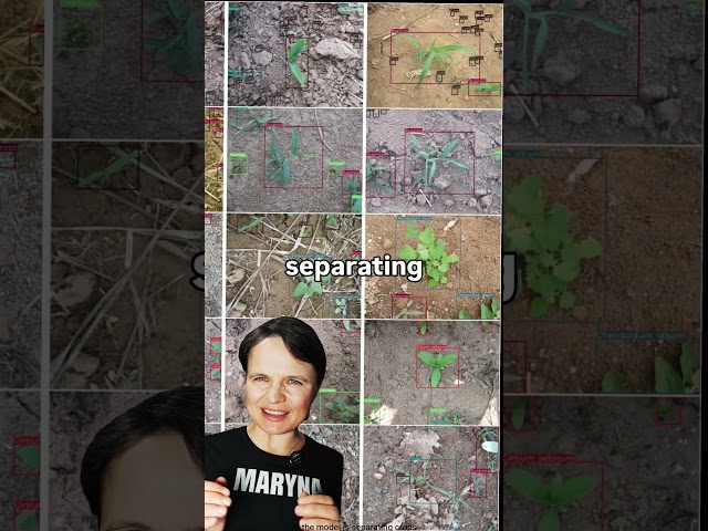 AI for weed management