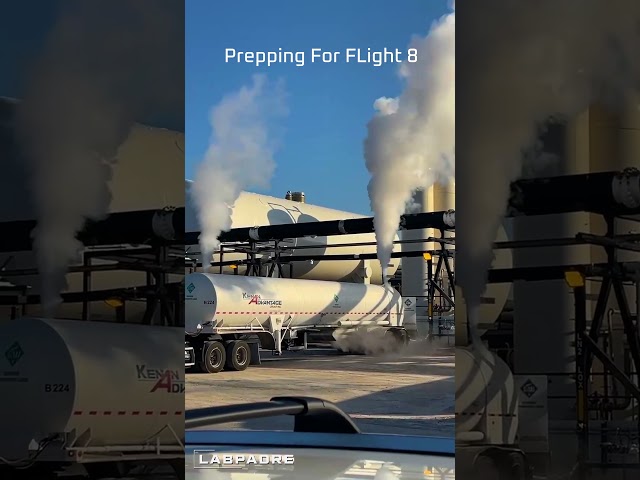 SpaceX Preps For Flight 8 #spacex #starbase #starship #superheavy #labpadre