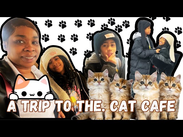 | VBLOG | CAT LOVERS | Surprise trip to London! 🌍✨