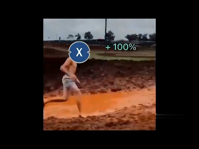 The XDC Bull Run Is HERE! Crypto Meme Madness
