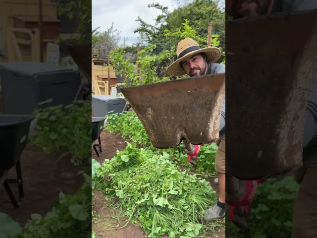 Weeds Are Free Compost