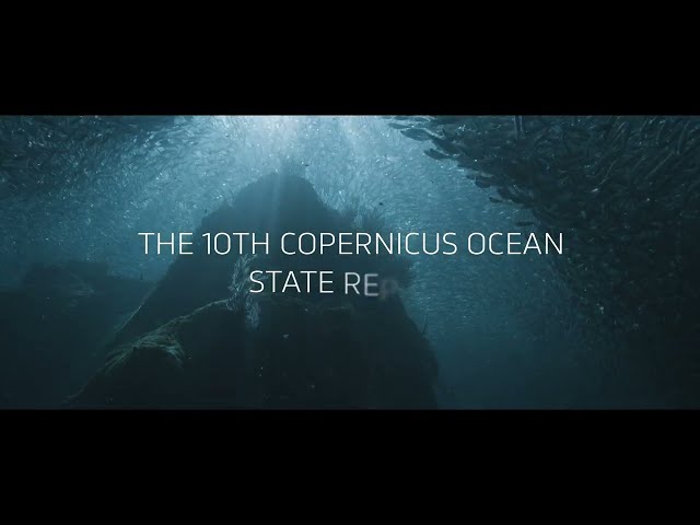 Copernicus Ocean State Report 10