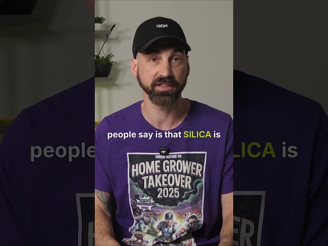 You CAN Use Silica During Flowering