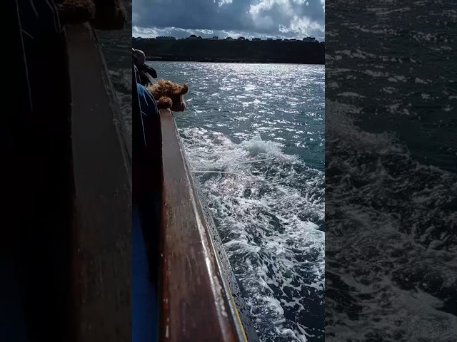 One day this tune will play on speakers out at sea... #tugs #whitby #boat #sea #ocean #boat #boating