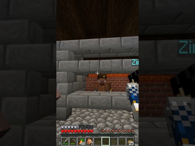 What The Beff? #minecraft #gaming #skyblockseason3