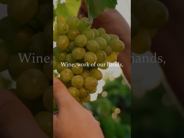 Seed, Scattered and Sown | Catholic Communion Hymn | SATB Choir with Lyrics | Living Bread of God