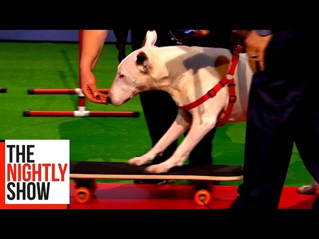 Can John Bishop’s Old Dogs Learn New Tricks?