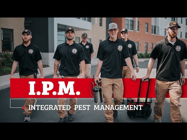 Our Integrated Pest Management (IPM) Program