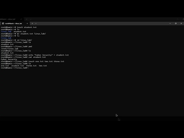Cyber Defense BD Assignment Linux Command Part-2