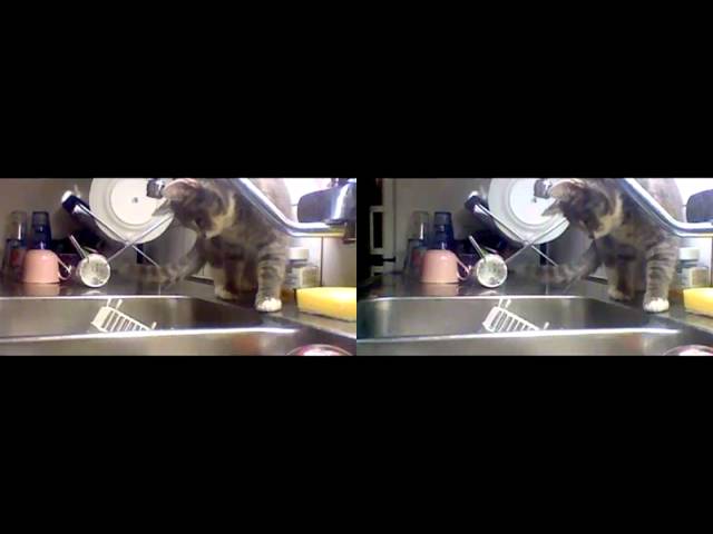 Lilly loves water (3D)