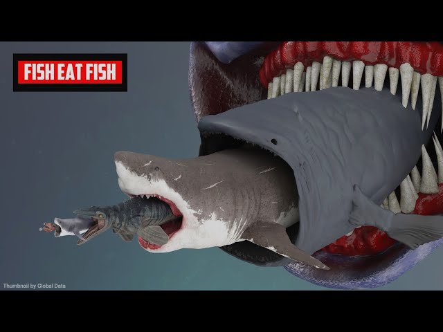 Fish Eat Fish | Giant Ocean Battle in 3D Animation (Real to Fictional)