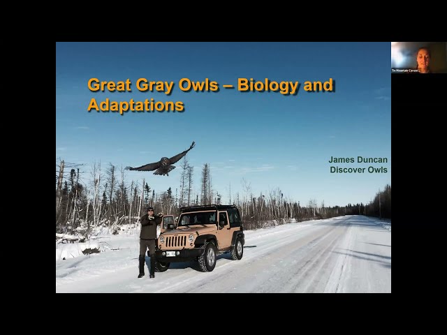 Nature Program Series: Great Gray Owls with Dr. Jim Duncan