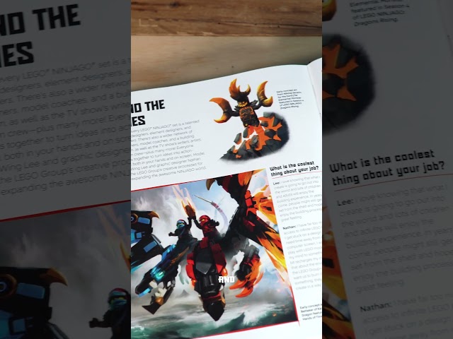 Is this the Best LEGO Ninjago Visual Dictionary ever?