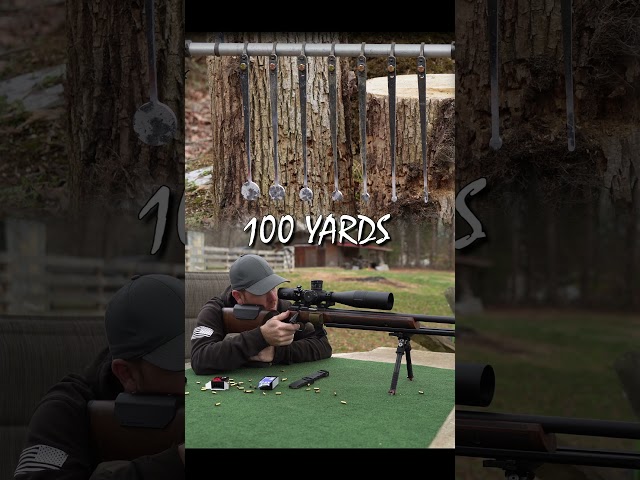 22LR VS 1/4" TARGET 100 YARDS @Dayattherange