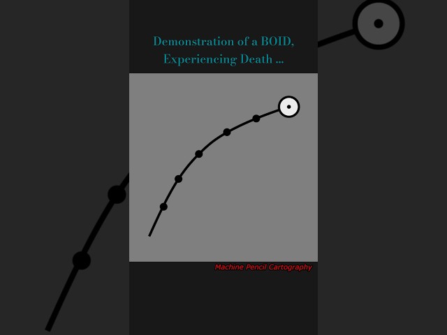 Taphonomy Animation!
