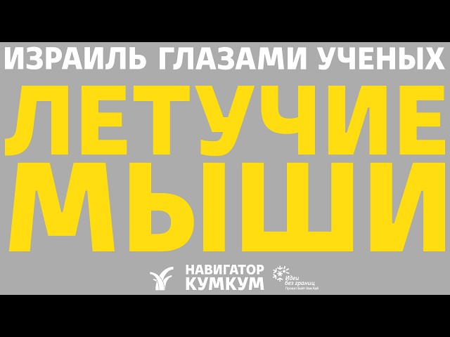 Летучие мыши || Хироптеролог Александра Панютина