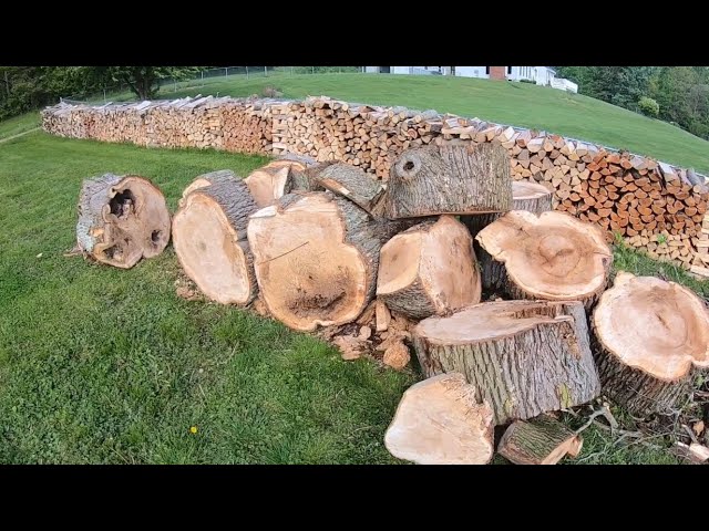 #24 Free Firewood Score