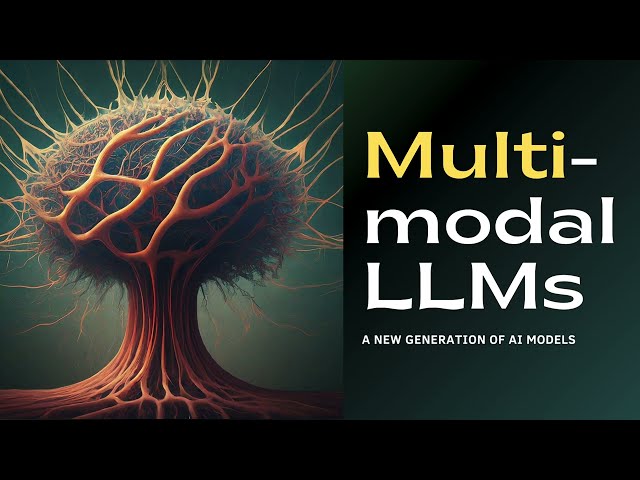 02. What is Multimodal large language models?