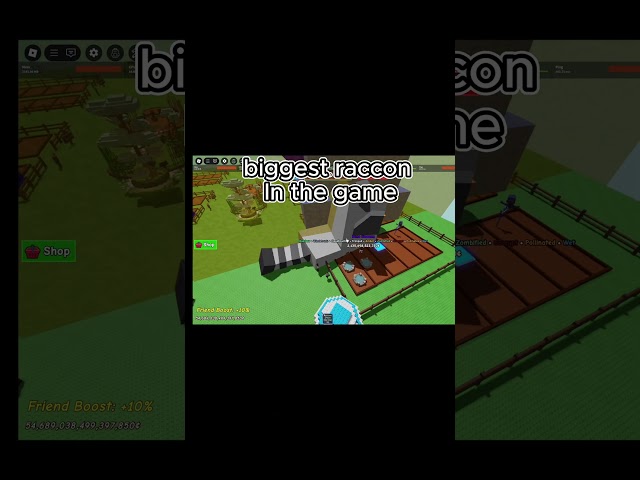 GROW A GARDEN BIGGEST RACCON 70KG+ 🦝  #growagardenroblox #petsimulatox #automoonlit