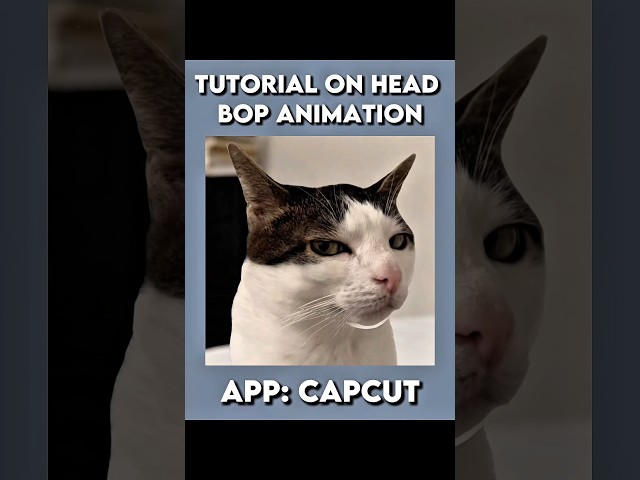 CapCut || HeadBop Animation Tutorial