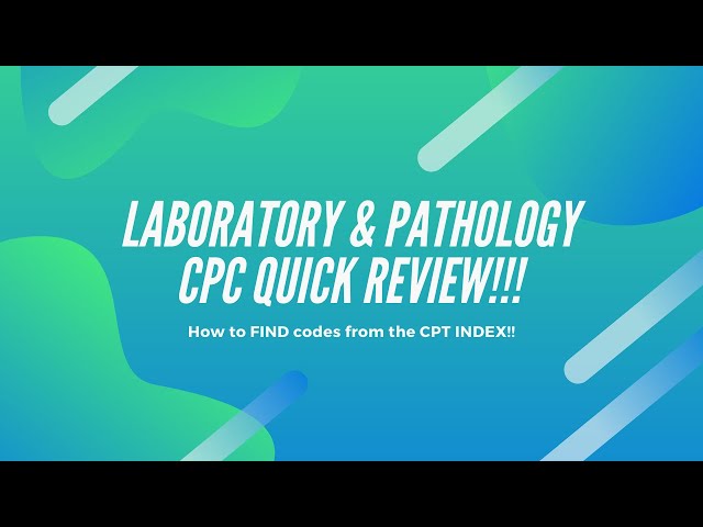 2020 CPC - MEDICAL CODING - LABORATORY & PATHOLOGY REVIEW! HOW TO USE THE CPT INDEX TO FIND ANSWERS!