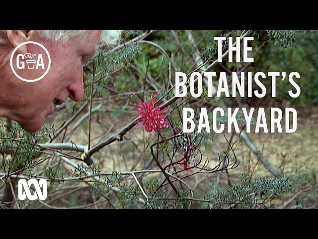 How one man dedicated his life to Australia’s native flora | A Gardening Australia Classic
