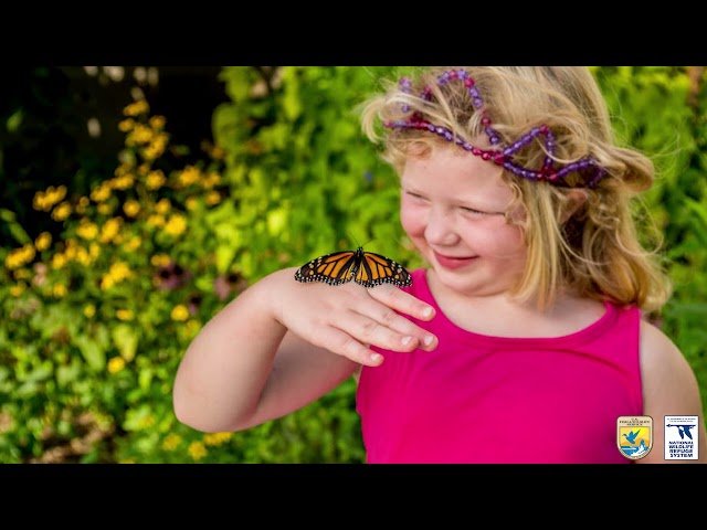 What Is A National Wildlife Refuge