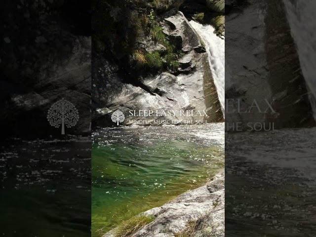 Soothing Natural Symphony 🎶 #NatureSounds #Symphony #Relax #Shorts