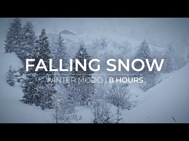 Winter Mood | 8 Hours of Snow Fall for Relaxation & Meditation